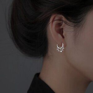 Elegant Silver Crescent Drop Earrings